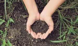 Why Do We Need Soil Management In Home Gardens